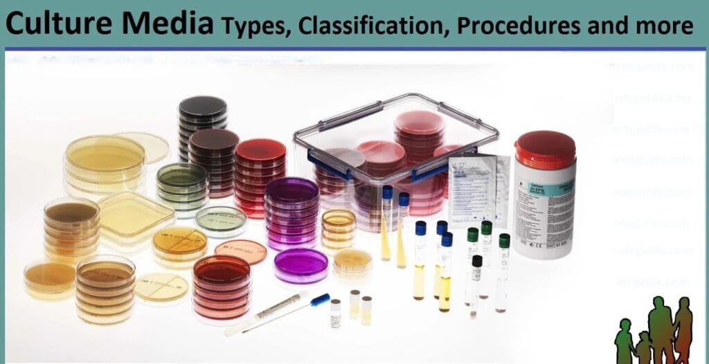 Comprehensive Guide to Microbiology Culture Media Chart